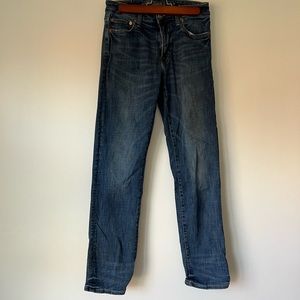 American Eagle Next Level original straight